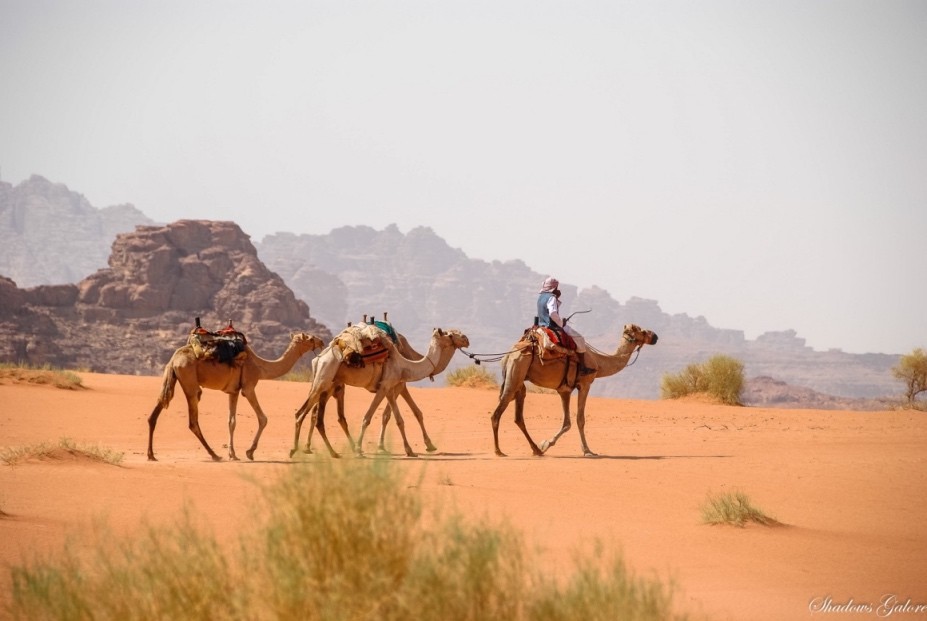 Wadi Rum | Shadows Galore