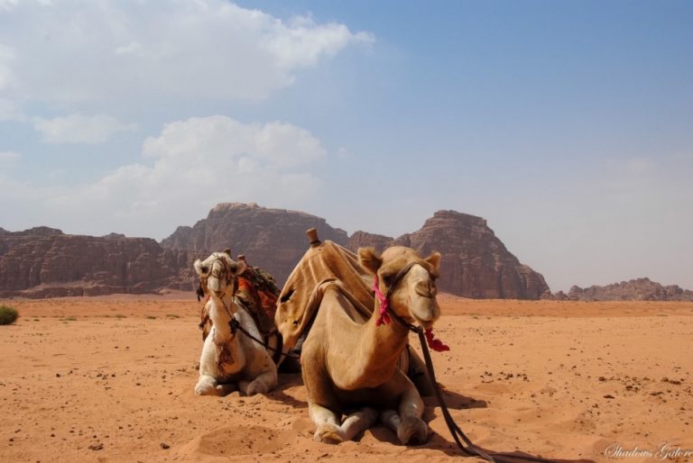 Wadi Rum | Shadows Galore