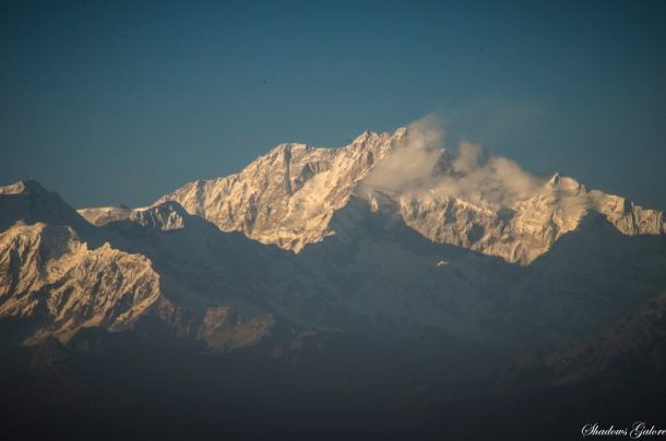 Darjeeling Unlimited - First Impressions | Shadows Galore